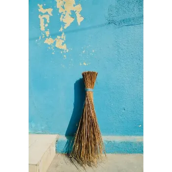 Coconut Stick Brooms 